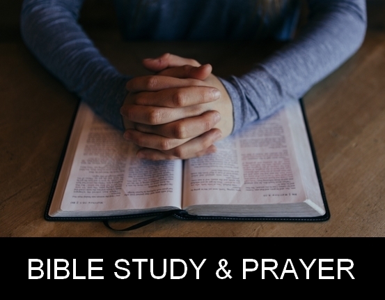 bible-study2